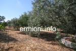 GL 0130 - Countryside Cottage - Kampos - Ermioni